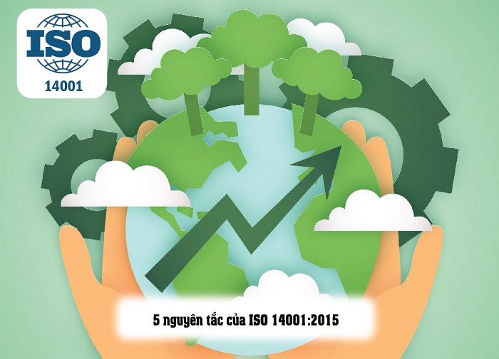 5 nguyên tắc của ISO 14001:2015