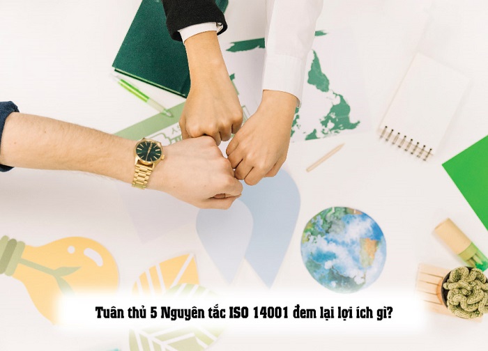 5 nguyên tắc của ISO 14001:2015