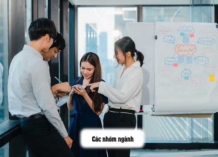 7 lĩnh vực áp dụng ISO 9001 phổ biến nahats 