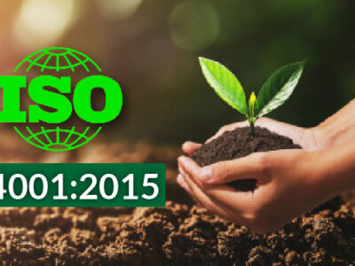 Hướng dẫn thực hiện ISO 14001 – Các bước chính trong Quy trình thực hiện ISO 14001
