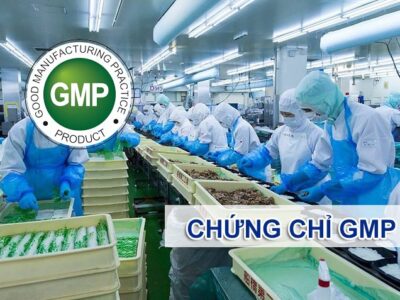 Chứng chỉ GMP về Thực hành sản xuất tốt