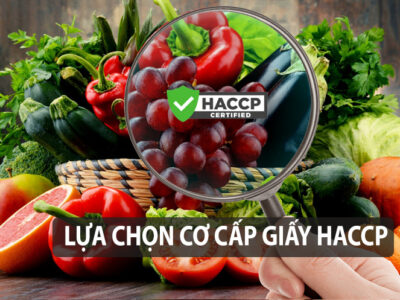 Lựa chọn cơ quan cấp giấy HACCP