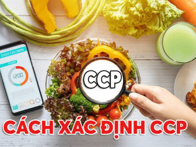 Điểm kiểm soát tới hạn là gì và Cách xác định CCP như thế nào?