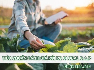 Tiêu chuẩn Đánh giá rủi ro GLOBALG.AP về thực hành xã hội GRASP là gì? (Global Risk Assessment for Social Practice)