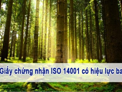 Giay-chung-nhan-ISO-14001-co-hieu-luc-bao