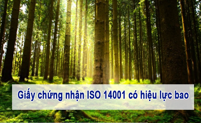 Giay-chung-nhan-ISO-14001-co-hieu-luc-bao