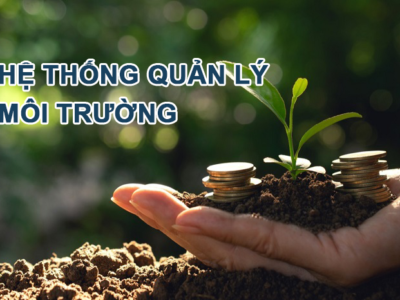 Tình hình áp dụng ISO 14001 trên Thế giới và tại Việt Nam