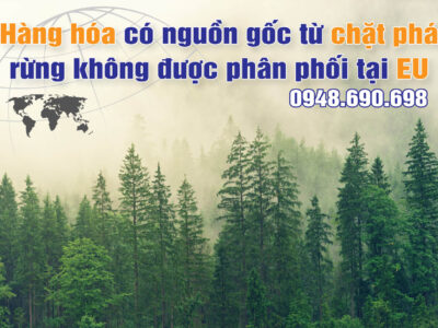 Hàng hóa có nguồn gốc từ chặt phá rừng không được phân phối tại EU