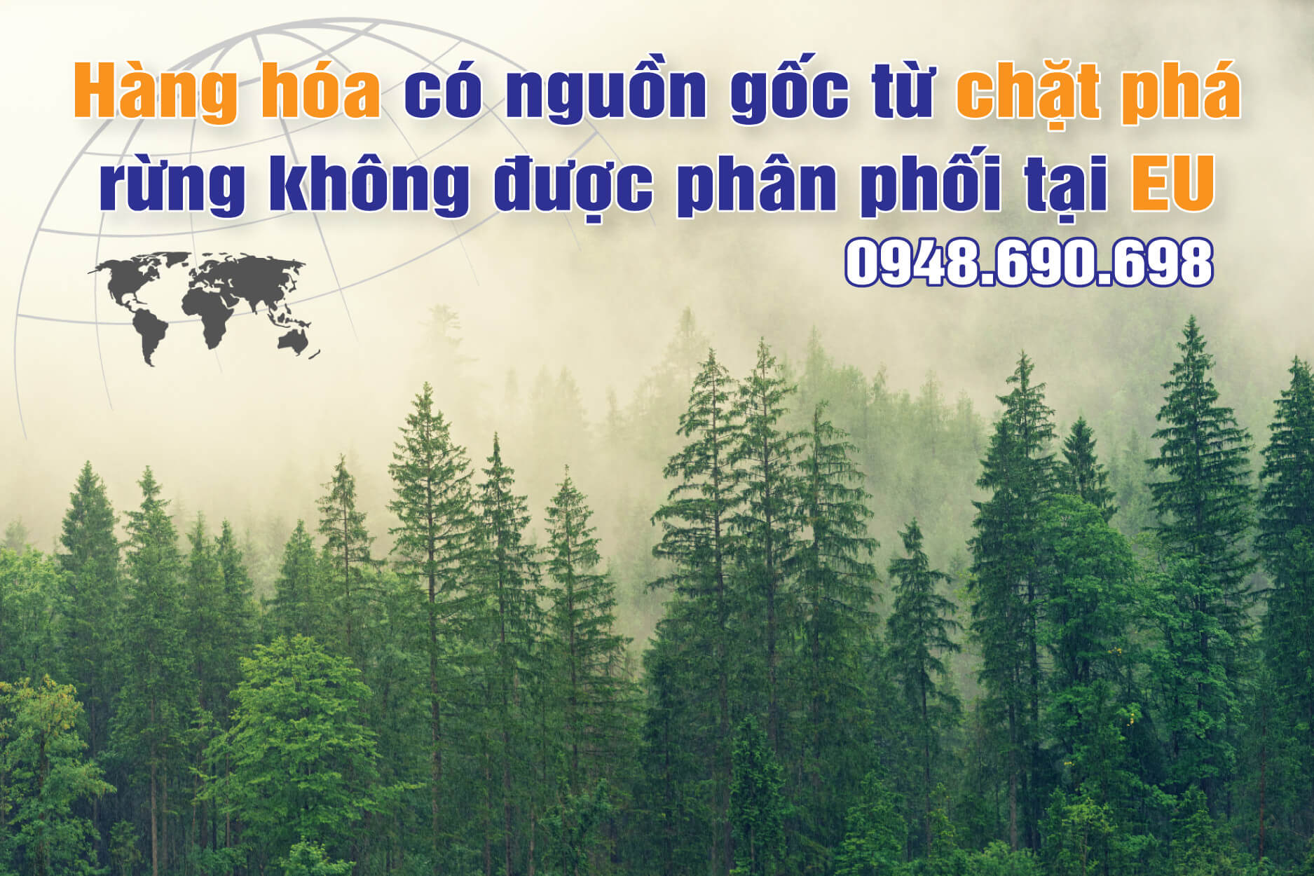 Hàng hóa có nguồn gốc từ chặt phá rừng không được phân phối tại EU