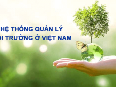 Hệ thống quản lý môi trường ở Việt Nam