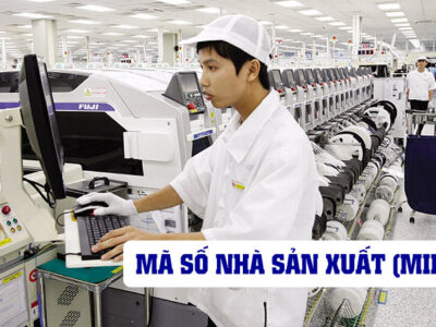 MÃ SỐ NHÀ SẢN XUẤT (MID)