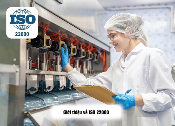 NHƯỢC ĐIỂM CỦA ISO 22000 VỚI CÁC DOANH NGHIỆP KHI TRIỂN KHAI