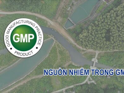 Nguồn nhiễm trong GMP