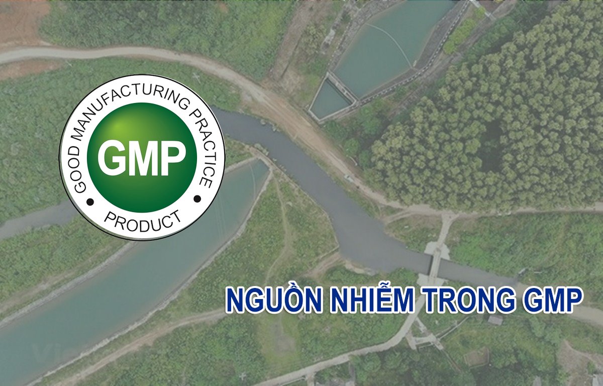 Nguồn nhiễm trong GMP