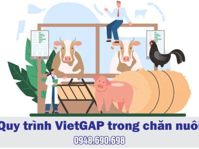 Quy trình VietGAP trong chăn nuôi