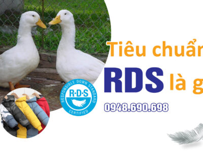 Tiêu chuẩn RDS là gì? (Responsible Down Standard – RDS)