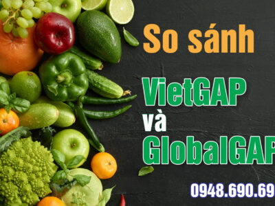 So sánh VietGAP và GlobalGAP