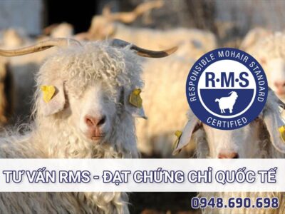 TƯ VẤN RAS – ĐẠT CHỨNG CHỈ QUỐC TẾ, CÔNG NHẬN TOÀN CẦU
