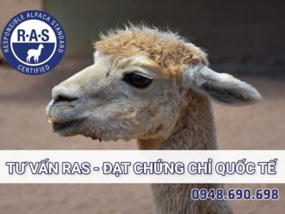 TƯ VẤN RMS – ĐẠT CHỨNG CHỈ QUỐC TẾ, CÔNG NHẬN TOÀN CẦU