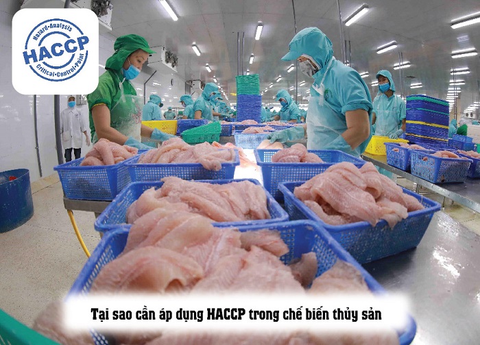 xây dựng hệ thống HACCP