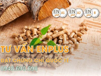 TƯ VẤN ENPLUS – ĐẠT CHỨNG CHỈ QUỐC TẾ - MỚI NHẤT