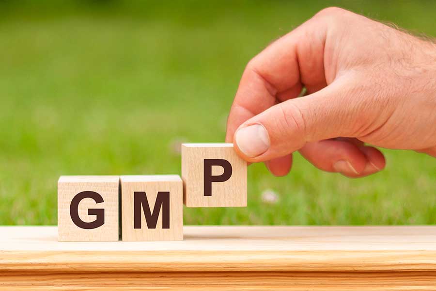 Nhân sự trong GMP