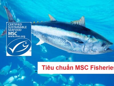 Tiêu chuẩn MSC Fisheries