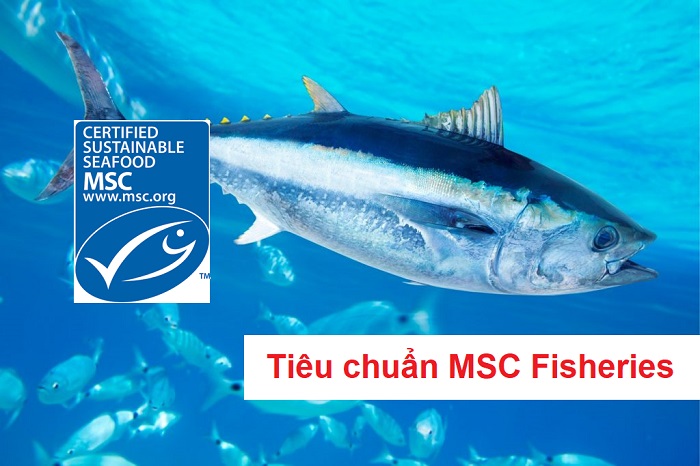 Tiêu chuẩn MSC Fisheries 