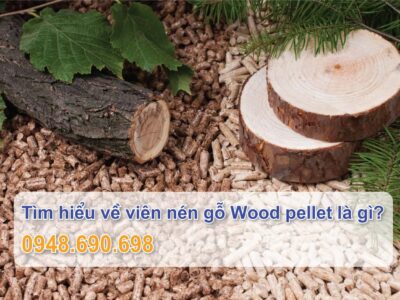 Tìm hiểu về viên nén gỗ Wood pellet là gì
