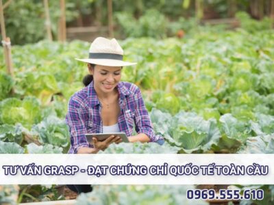TƯ VẤN GRASP – ĐẠT CHỨNG CHỈ QUỐC TẾ