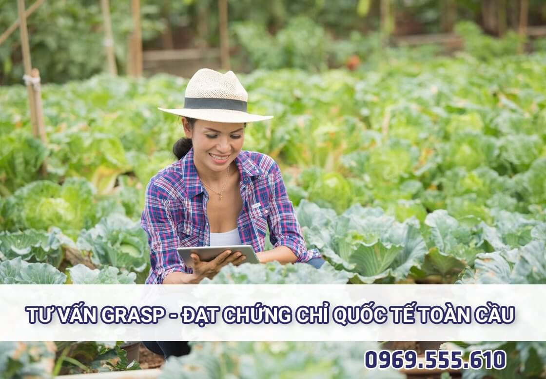 Tư vấn GRASP