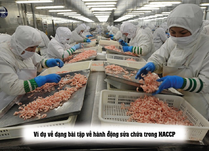 bài tập về haccp