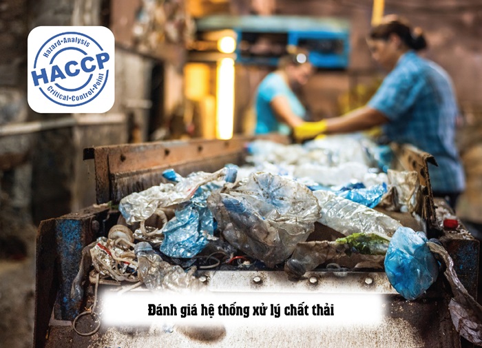 Báo cáo đánh giá nhà máy theo HACCP - Giải đáp chi tiết