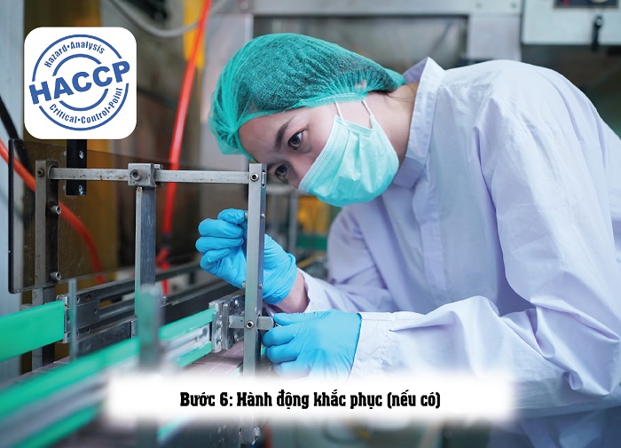 các bước đăng ký theo haccp