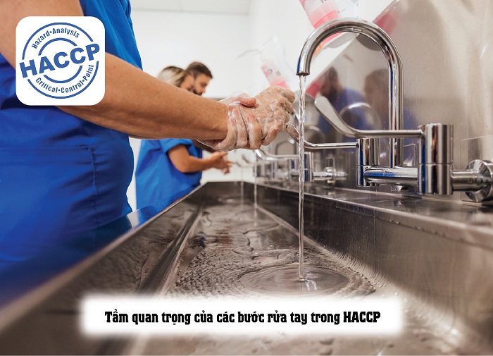 các bước rửa tay trong haccp