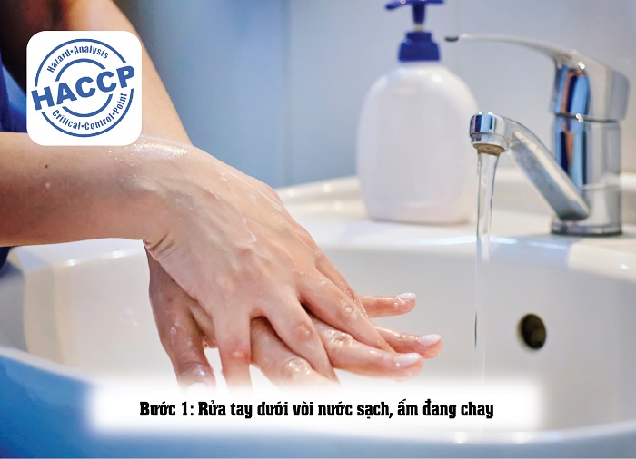 các bước rửa tay trong haccp