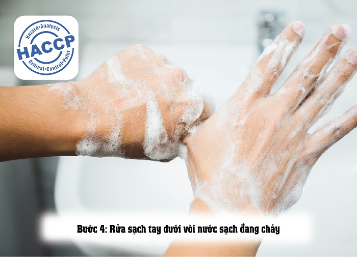 các bước rửa tay trong haccp