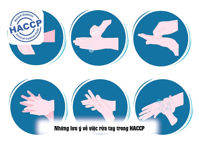 các bước rửa tay trong haccp