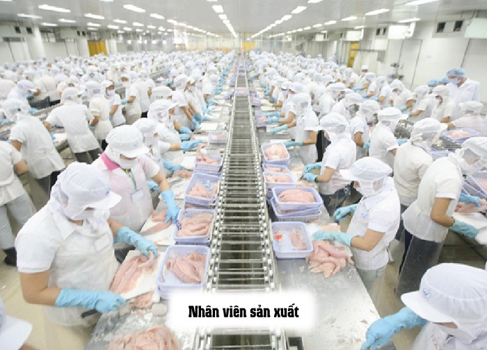 các cấp trong haccp