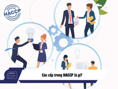 các cấp trong haccp