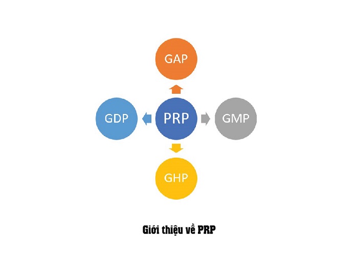CCP CP PRP là gì trong HACCP 