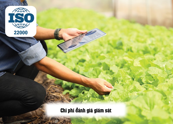 Chi phí đánh giá ISO 22000 bao gồm những loại chi phí nào?