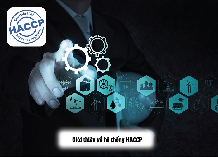 chi tiết về hệ thống HACCP
