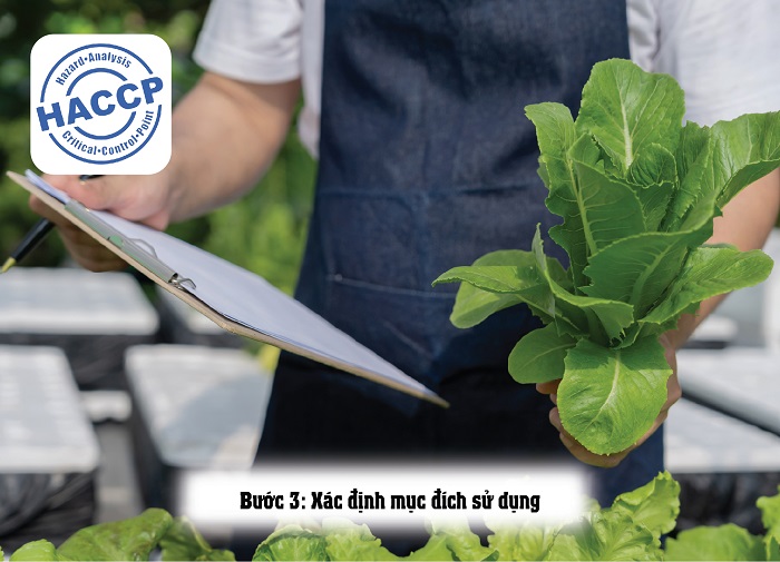chi tiết về hệ thống HACCP