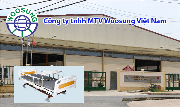 Công ty TNHH MTV Woosung Việt Nam