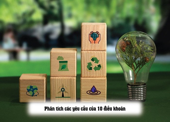điều khoản 10 cải tiến tiêu chuẩn 14001