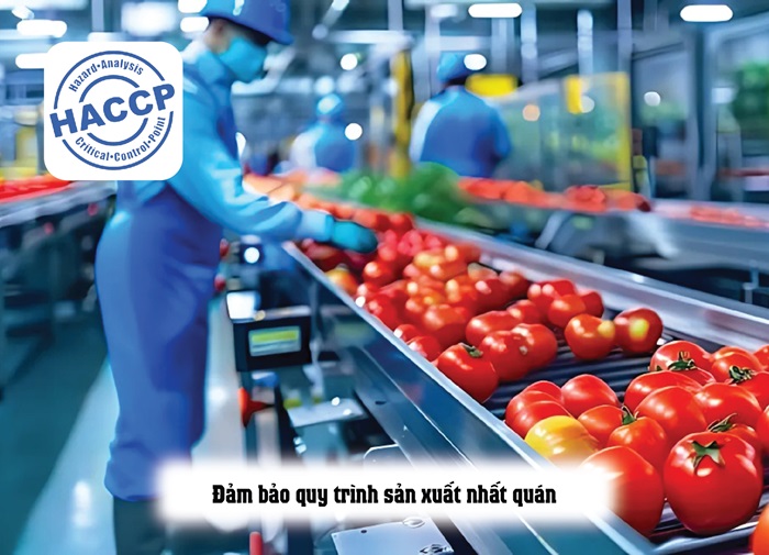 Doanh nghiệp có phải bắt buộc chứng nhận HACCP không?