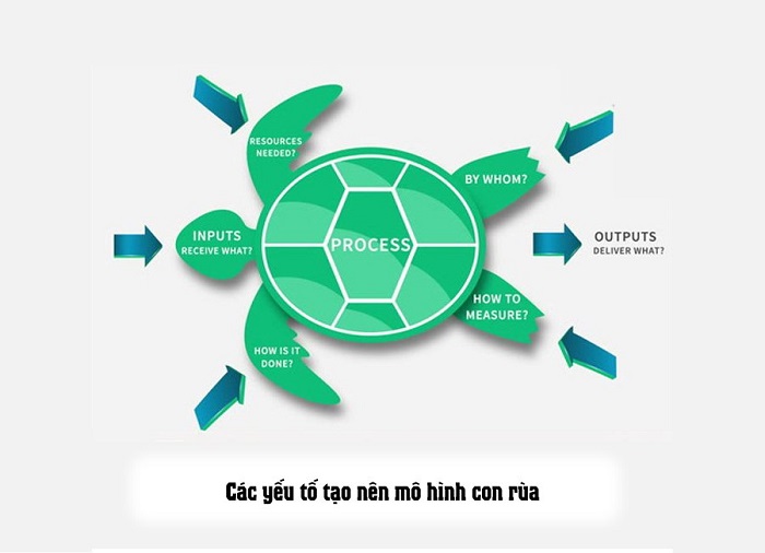 mô hình con rùa