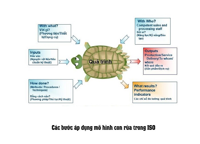 mô hình con rùa