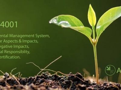 Lợi ích của việc áp dụng ISO 14001 dành cho doanh nghiệp